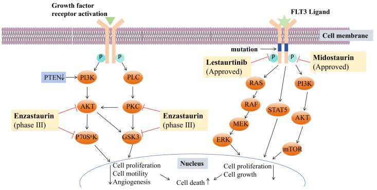 https://cdn.ncbi.nlm.nih.gov/pmc/blobs/1f0c/10935119/912d07e53e5b/molecules-29-00933-g009.jpg