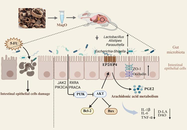 https://cdn.ncbi.nlm.nih.gov/pmc/blobs/1f2a/12404258/9ca840a208c9/DDDT-19-7503-g0011.jpg