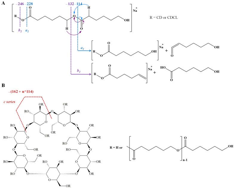 https://cdn.ncbi.nlm.nih.gov/pmc/blobs/1f2b/9003485/9dcaa6841db4/polymers-14-01436-sch002.jpg