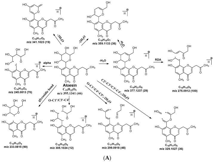 https://cdn.ncbi.nlm.nih.gov/pmc/blobs/1f57/11243344/ac1a16d1cefa/molecules-29-02953-g004a.jpg