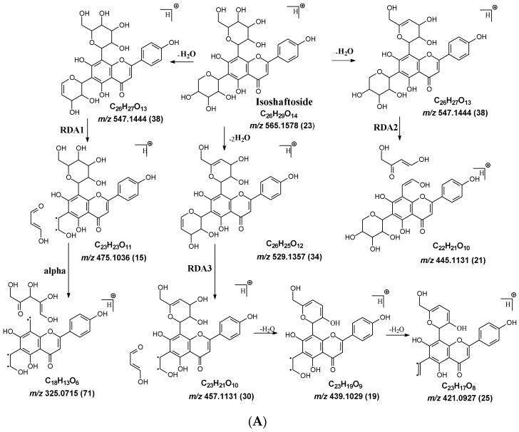 https://cdn.ncbi.nlm.nih.gov/pmc/blobs/1f57/11243344/bca4cd5a2a67/molecules-29-02953-g002a.jpg