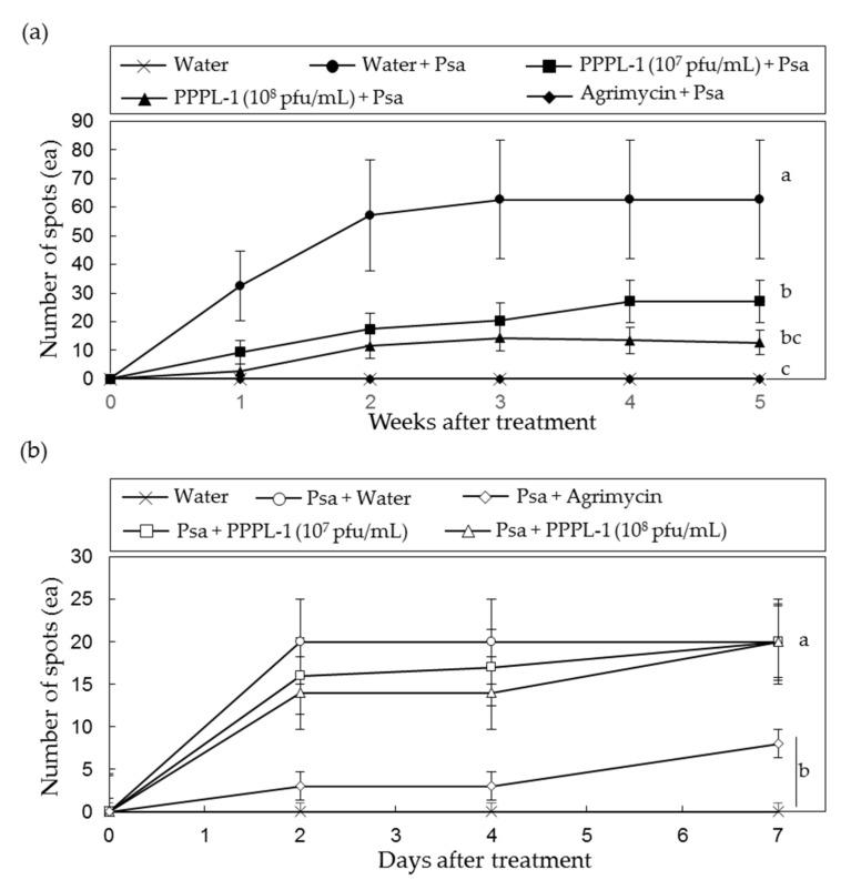 https://cdn.ncbi.nlm.nih.gov/pmc/blobs/1f61/8150970/35ae2b08157d/antibiotics-10-00554-g003.jpg
