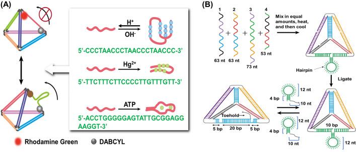 https://cdn.ncbi.nlm.nih.gov/pmc/blobs/1f7f/8650297/b073592cc7eb/12951_2021_1164_Fig5_HTML.jpg