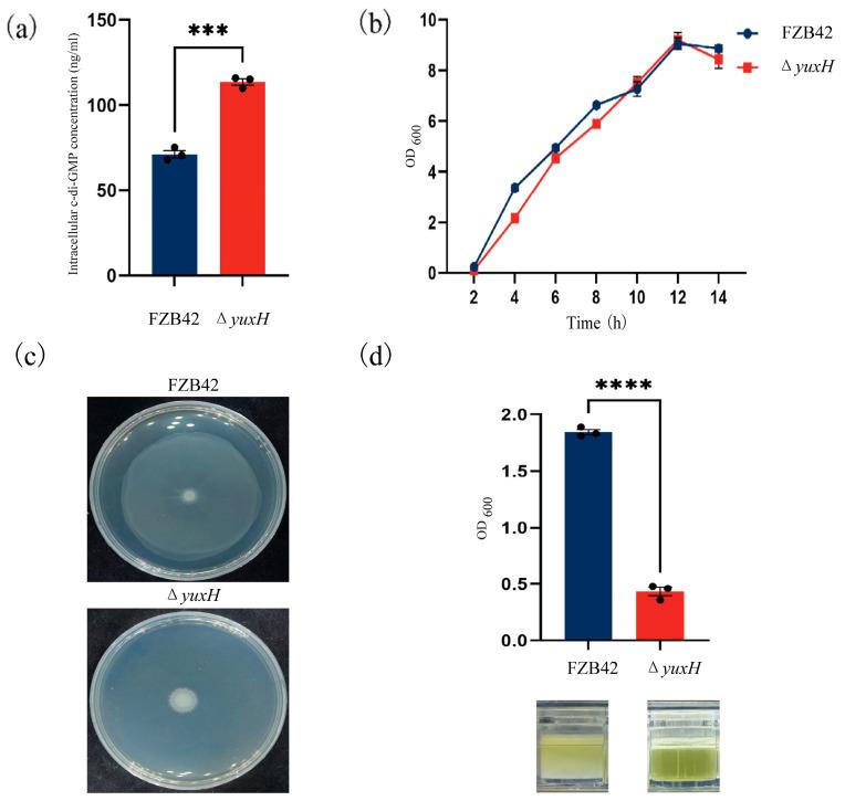 https://cdn.ncbi.nlm.nih.gov/pmc/blobs/1f8c/12029170/3b1c7146fa72/microorganisms-13-00896-g002.jpg
