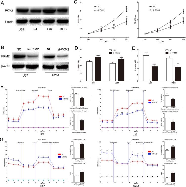 https://cdn.ncbi.nlm.nih.gov/pmc/blobs/1fb1/4536995/74498607f5c9/oncotarget-06-13006-g001.jpg