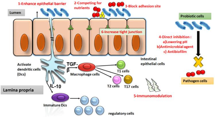 https://cdn.ncbi.nlm.nih.gov/pmc/blobs/1fb6/9952301/8c97fc06f3b9/antibiotics-12-00274-g003.jpg