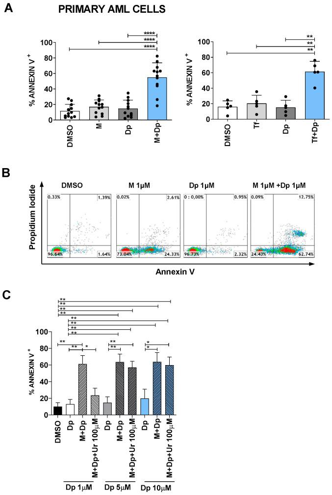 https://cdn.ncbi.nlm.nih.gov/pmc/blobs/1fc6/7957697/4fc365300f58/cancers-13-01003-g009.jpg