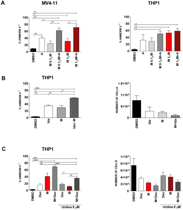 https://cdn.ncbi.nlm.nih.gov/pmc/blobs/1fc6/7957697/5e343e061d6a/cancers-13-01003-g005.jpg