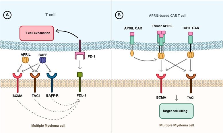 https://cdn.ncbi.nlm.nih.gov/pmc/blobs/1fcf/11391811/99859a9b8aa0/40364_2024_634_Fig3_HTML.jpg