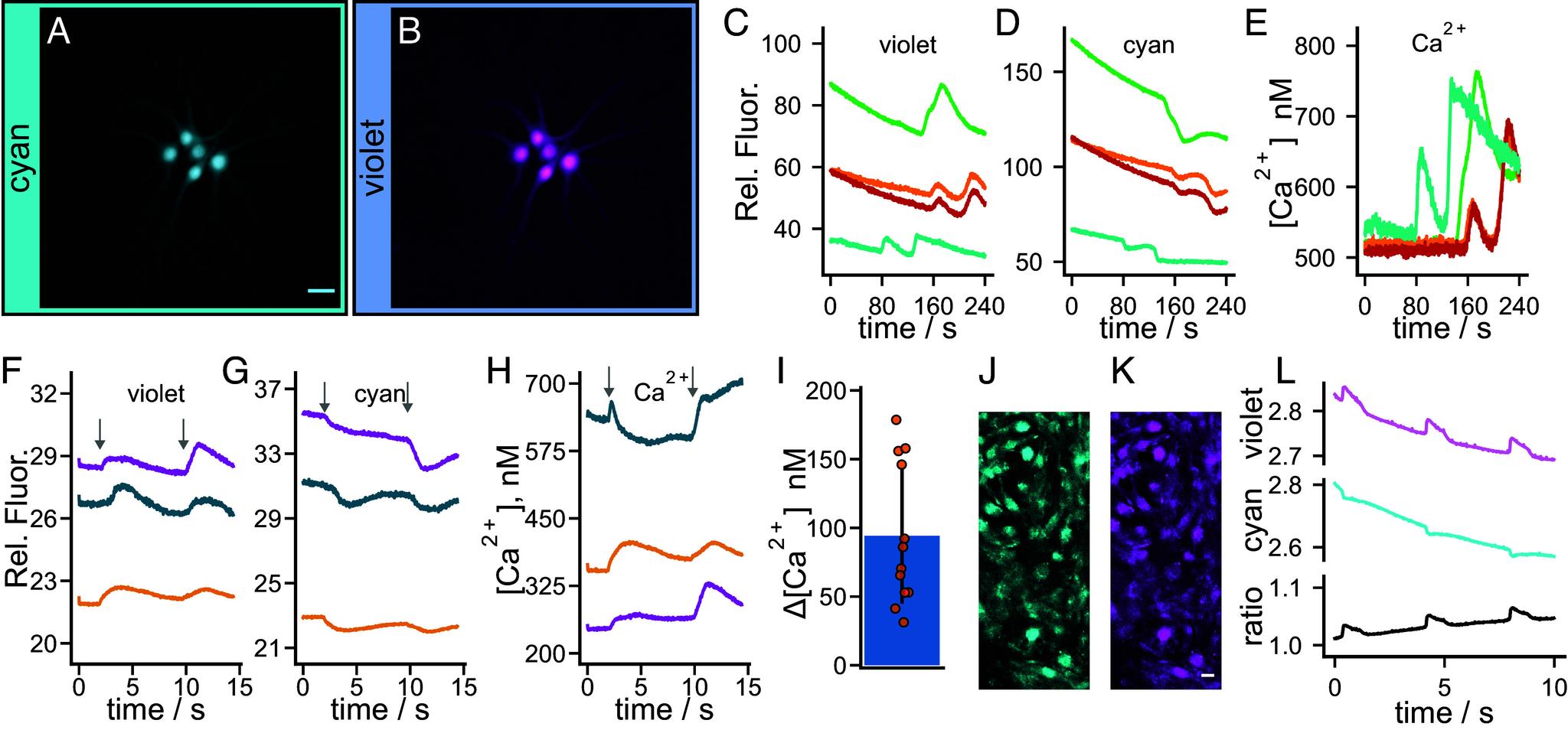 https://cdn.ncbi.nlm.nih.gov/pmc/blobs/1fe0/11848355/0a10e48cfcd6/pnas.2410436122fig05.jpg