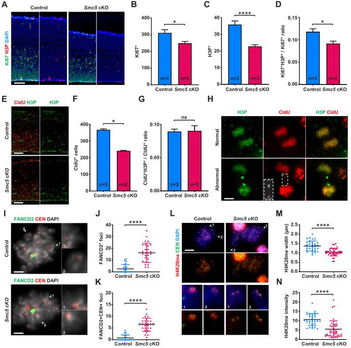 https://cdn.ncbi.nlm.nih.gov/pmc/blobs/1fea/7723410/65d4564ba470/elife-61171-fig4.jpg