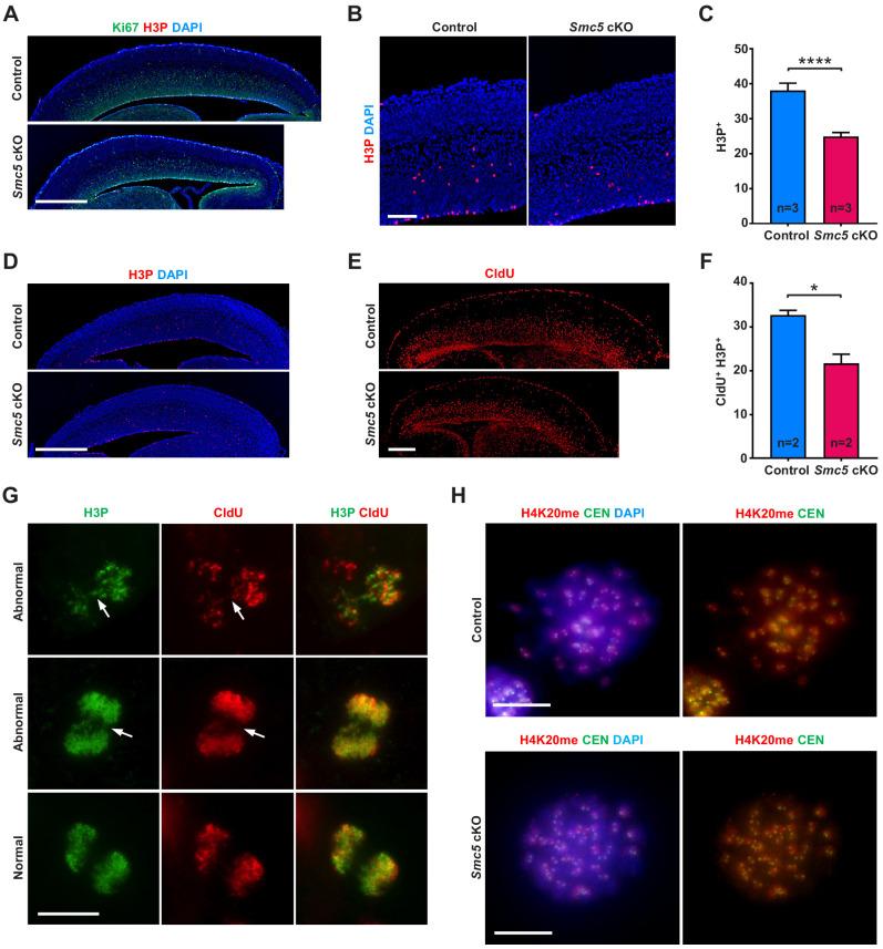 https://cdn.ncbi.nlm.nih.gov/pmc/blobs/1fea/7723410/bd6d9ed928a4/elife-61171-fig4-figsupp1.jpg