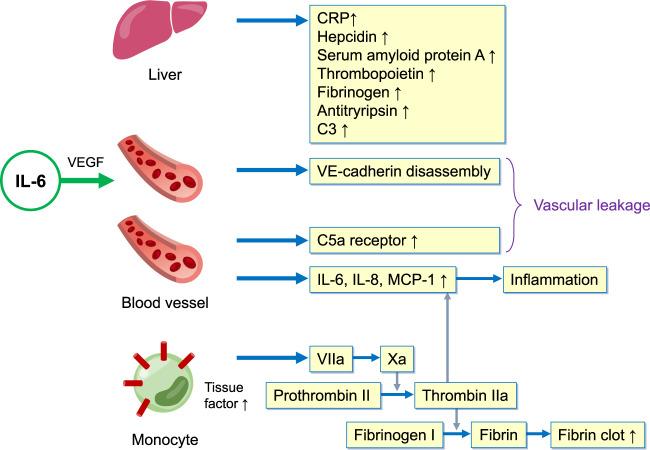 https://cdn.ncbi.nlm.nih.gov/pmc/blobs/201d/8333098/73e08e2008db/12276_2021_649_Fig2_HTML.jpg