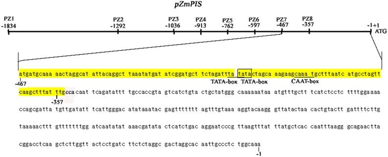 https://cdn.ncbi.nlm.nih.gov/pmc/blobs/2027/4740949/c007fae67a14/fpls-07-00042-g008.jpg