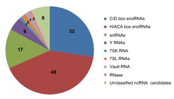 https://cdn.ncbi.nlm.nih.gov/pmc/blobs/2038/2832892/16d032187edb/1471-2164-11-61-1.jpg