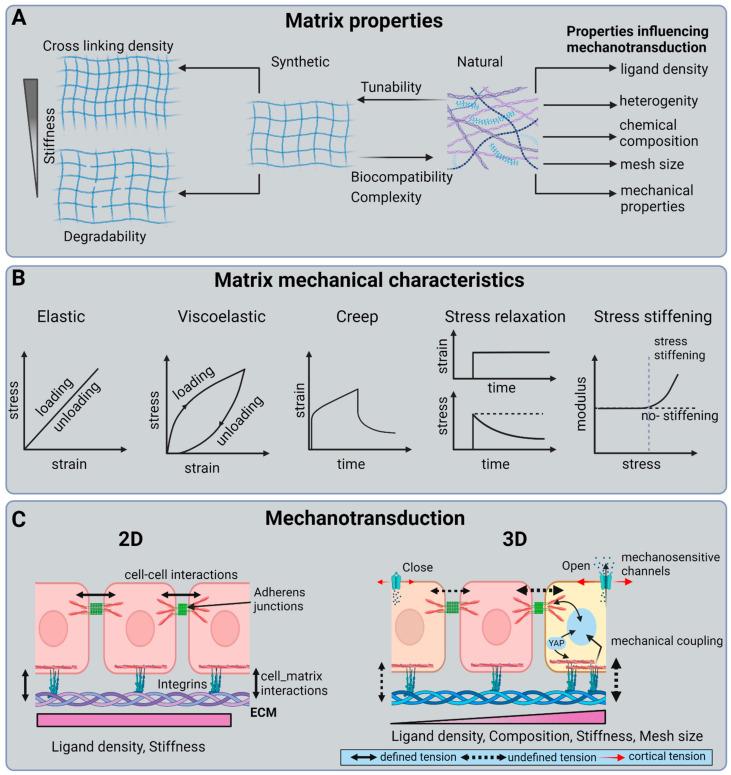 https://cdn.ncbi.nlm.nih.gov/pmc/blobs/2041/10605946/c8de656ea100/biosensors-13-00905-g004.jpg