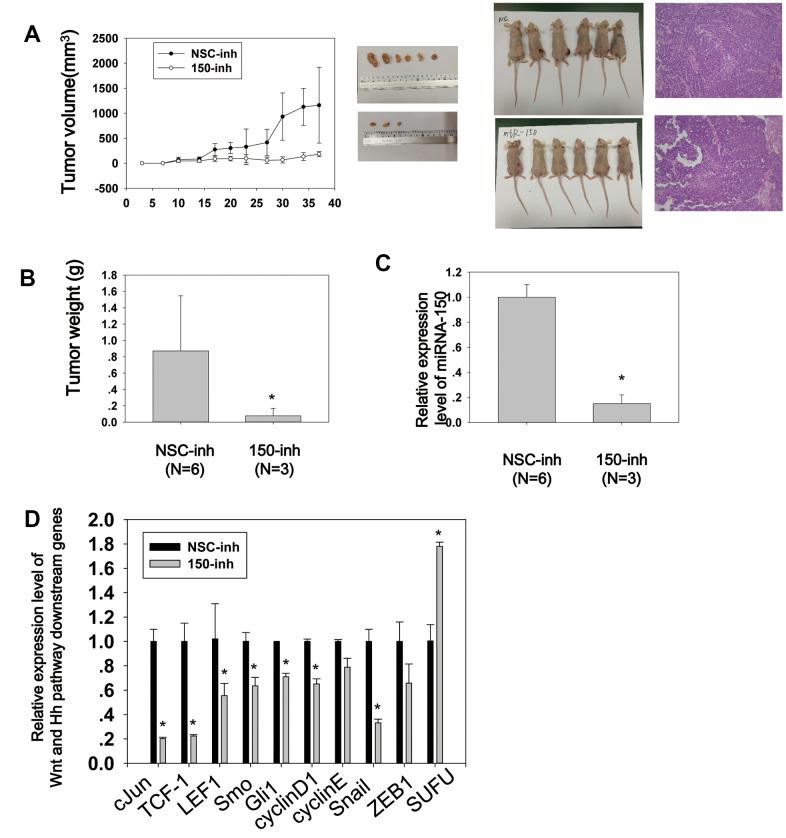 https://cdn.ncbi.nlm.nih.gov/pmc/blobs/2042/8064165/d15e6c7058f5/aging-13-202895-g005.jpg
