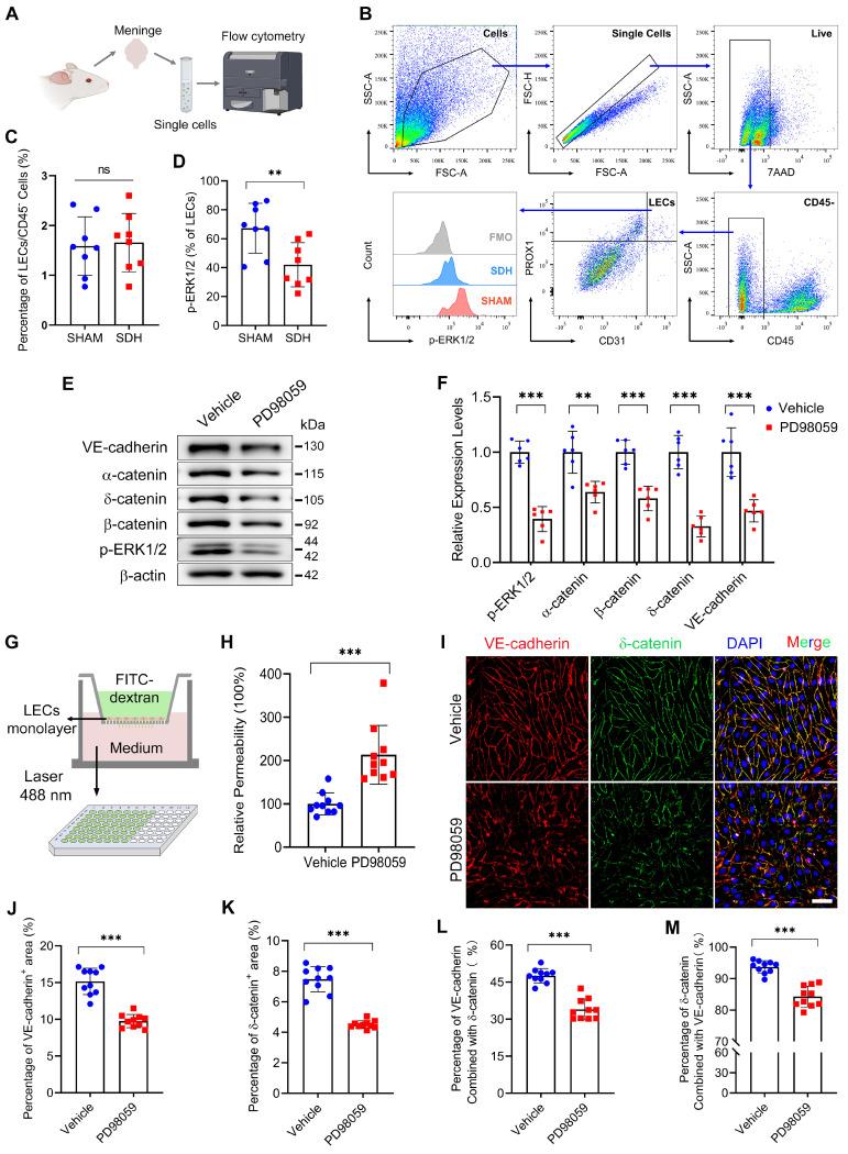 https://cdn.ncbi.nlm.nih.gov/pmc/blobs/2051/10750213/a21c8933ed40/thnov14p0304g006.jpg