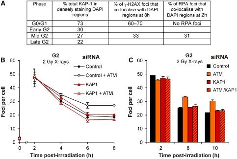 https://cdn.ncbi.nlm.nih.gov/pmc/blobs/206d/2776108/cef1ecf82554/emboj2009276f9.jpg