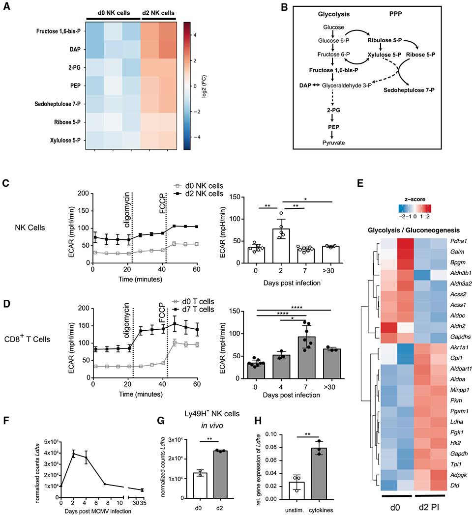 https://cdn.ncbi.nlm.nih.gov/pmc/blobs/2098/8221253/5b7436955f62/nihms-1710595-f0001.jpg