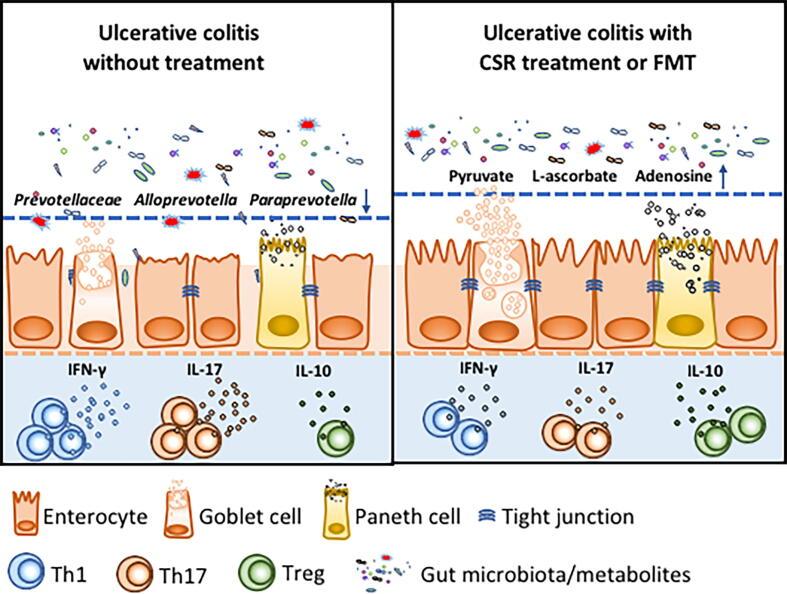 https://cdn.ncbi.nlm.nih.gov/pmc/blobs/20a1/9684163/0dffedaad4e7/gr7.jpg
