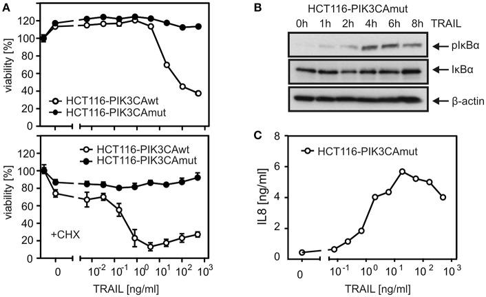 https://cdn.ncbi.nlm.nih.gov/pmc/blobs/20a7/6727177/64264361aef9/fimmu-10-02024-g0001.jpg