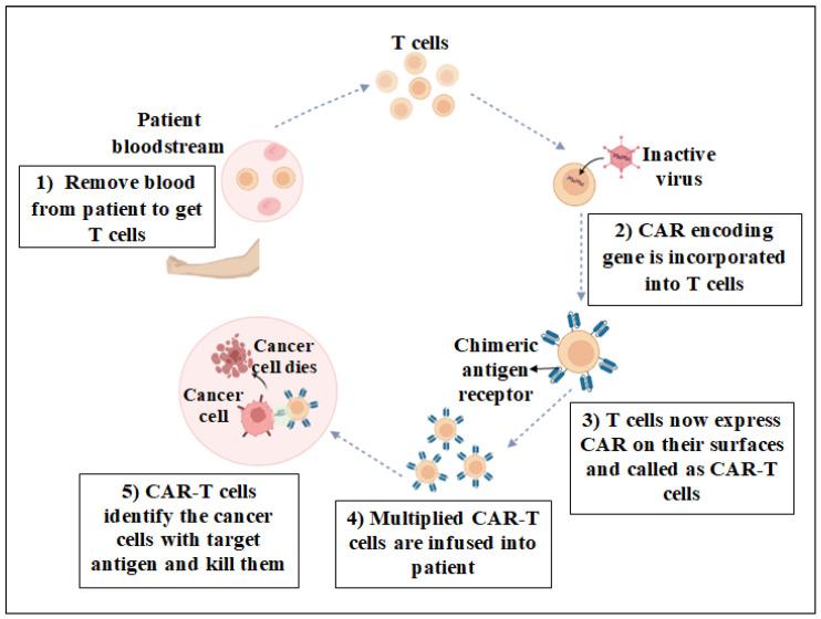 https://cdn.ncbi.nlm.nih.gov/pmc/blobs/20b7/11172642/07280a9c2675/jcm-13-03202-g001.jpg