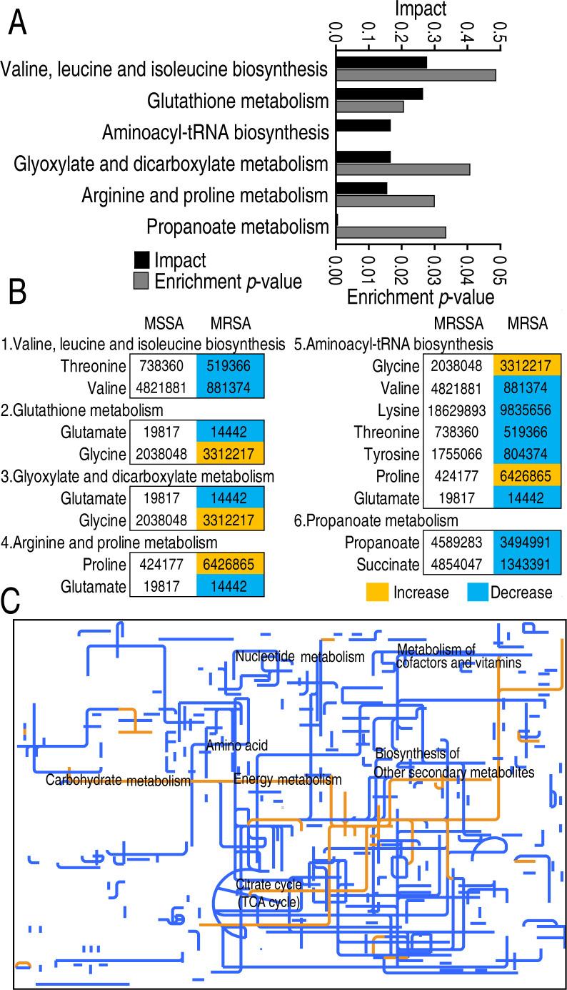 https://cdn.ncbi.nlm.nih.gov/pmc/blobs/20b9/11748551/d50bfd5e3c3a/msystems.01244-24.f002.jpg