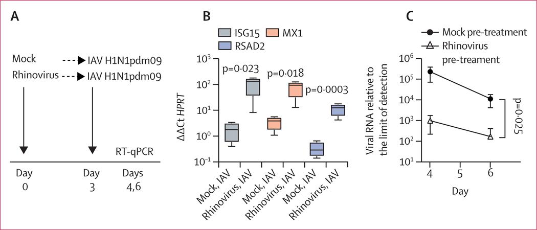 https://cdn.ncbi.nlm.nih.gov/pmc/blobs/20c1/7580833/3fe99a3081e3/nihms-1628631-f0003.jpg