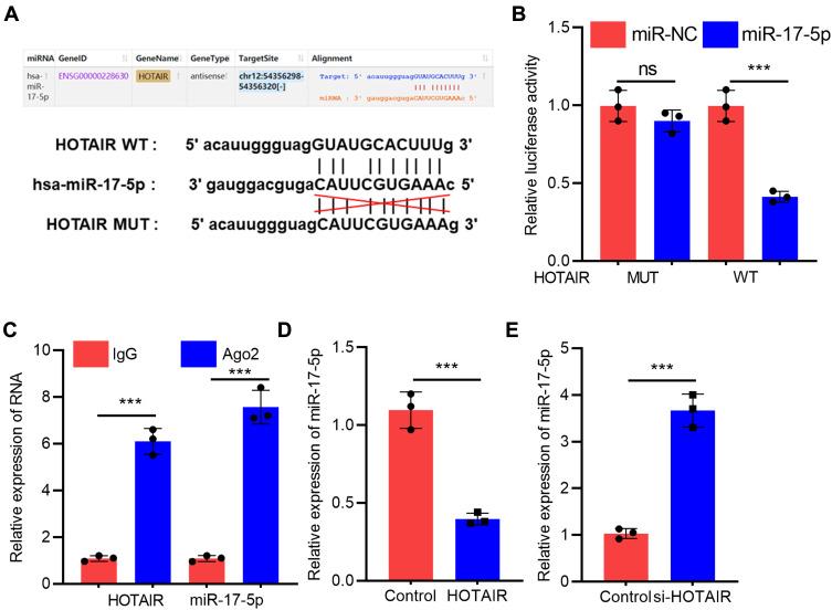 https://cdn.ncbi.nlm.nih.gov/pmc/blobs/20c8/8055365/2934ca1cf207/CIA-16-621-g0003.jpg
