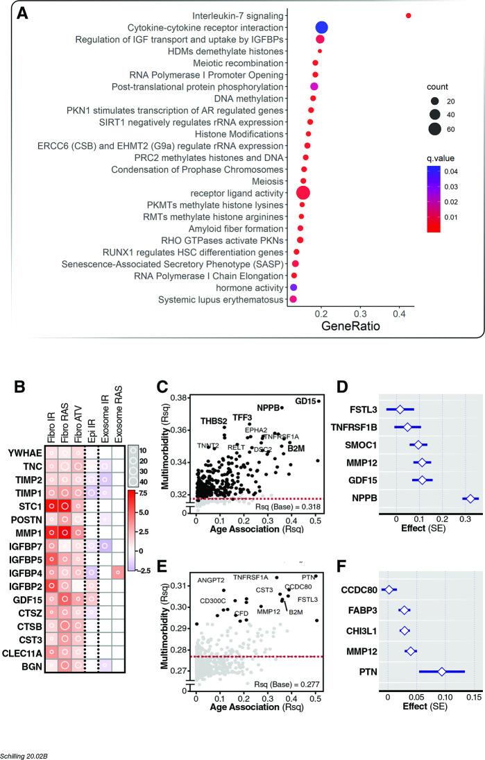 https://cdn.ncbi.nlm.nih.gov/pmc/blobs/20e3/7723412/69fff40b5a6a/elife-61073-fig5.jpg