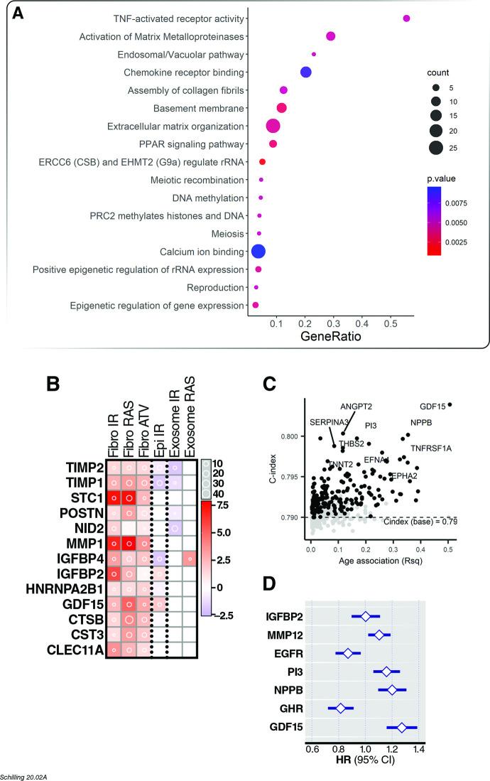 https://cdn.ncbi.nlm.nih.gov/pmc/blobs/20e3/7723412/fa9ccba6629a/elife-61073-fig4.jpg