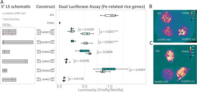 https://cdn.ncbi.nlm.nih.gov/pmc/blobs/20fa/11440899/636b1d005911/12870_2024_5473_Fig2_HTML.jpg