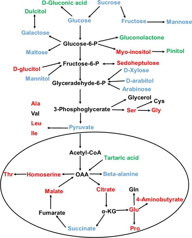 https://cdn.ncbi.nlm.nih.gov/pmc/blobs/2133/6591403/827aa5fdec22/41598_2019_45640_Fig4_HTML.jpg