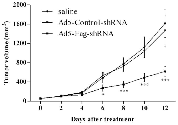 https://cdn.ncbi.nlm.nih.gov/pmc/blobs/2139/3497288/0878a6cecb17/ijms-13-12573f2.jpg