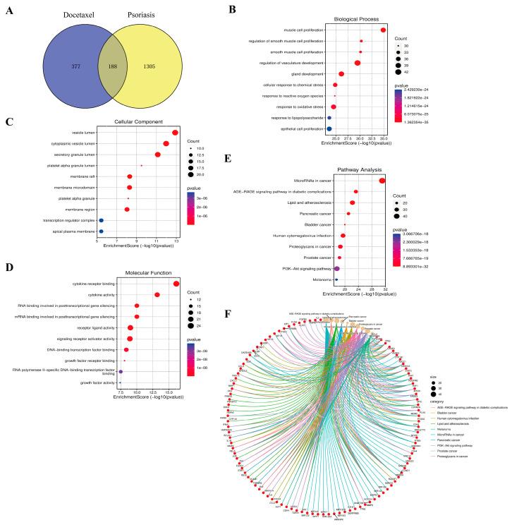 https://cdn.ncbi.nlm.nih.gov/pmc/blobs/214d/12027167/52823fa60a02/gels-11-00228-g006.jpg