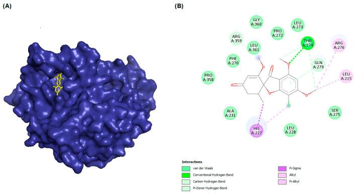 https://cdn.ncbi.nlm.nih.gov/pmc/blobs/2153/10005519/c6314bccae8a/molecules-28-02384-g001.jpg