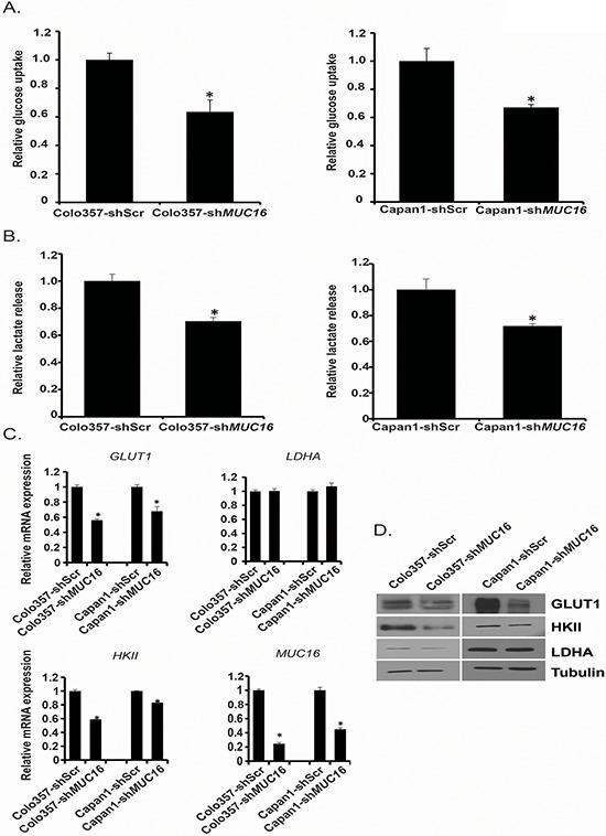 https://cdn.ncbi.nlm.nih.gov/pmc/blobs/2166/4662479/ae47acf15899/oncotarget-06-19118-g001.jpg