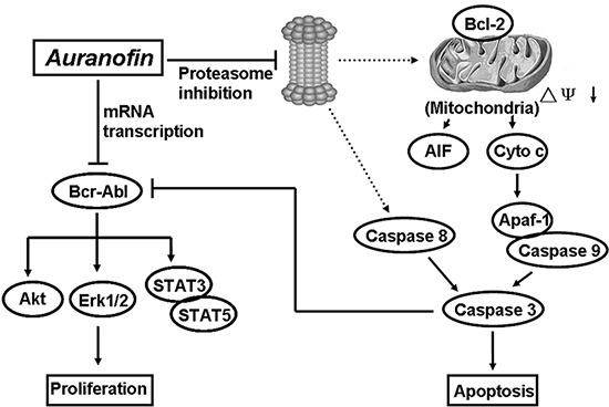 https://cdn.ncbi.nlm.nih.gov/pmc/blobs/2167/4253423/47c3ee947be7/oncotarget-05-9118-g007.jpg