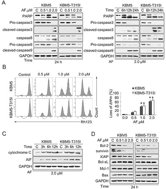 https://cdn.ncbi.nlm.nih.gov/pmc/blobs/2167/4253423/7808190d8282/oncotarget-05-9118-g002.jpg