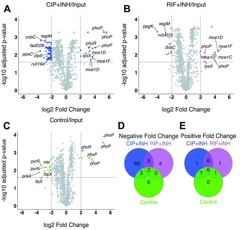 https://cdn.ncbi.nlm.nih.gov/pmc/blobs/2167/9948706/1a15417785b6/msystems.00699-22-f002.jpg