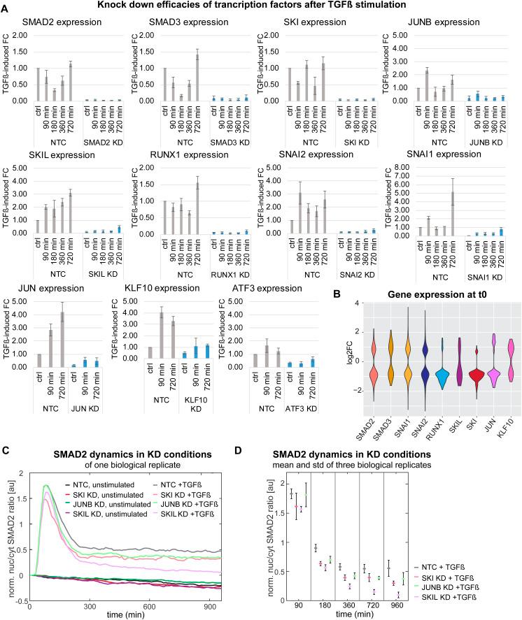 https://cdn.ncbi.nlm.nih.gov/pmc/blobs/216c/11565188/1132ffb35e4c/LSA-2024-02859_FigS5.jpg
