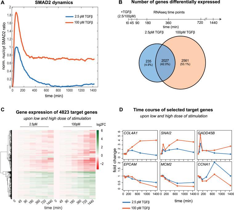 https://cdn.ncbi.nlm.nih.gov/pmc/blobs/216c/11565188/1dff6f92fef8/LSA-2024-02859_Fig1.jpg