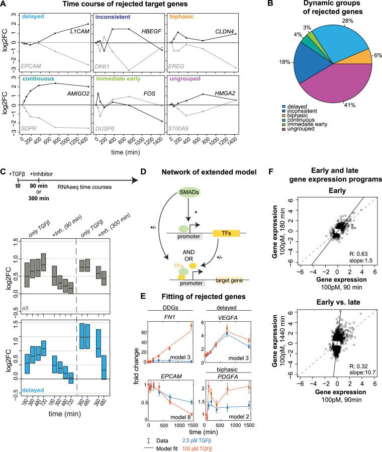 https://cdn.ncbi.nlm.nih.gov/pmc/blobs/216c/11565188/ad78896bc438/LSA-2024-02859_Fig4.jpg