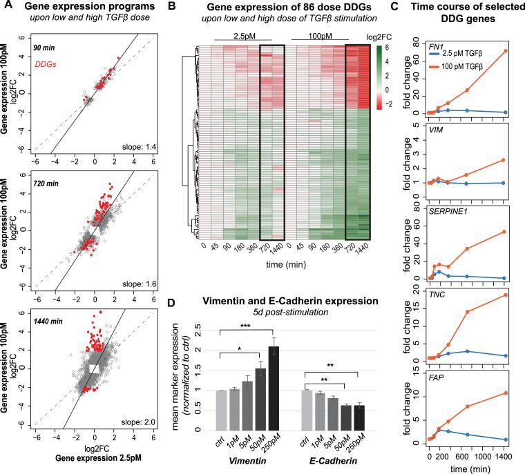 https://cdn.ncbi.nlm.nih.gov/pmc/blobs/216c/11565188/af42adb38ec8/LSA-2024-02859_Fig2.jpg