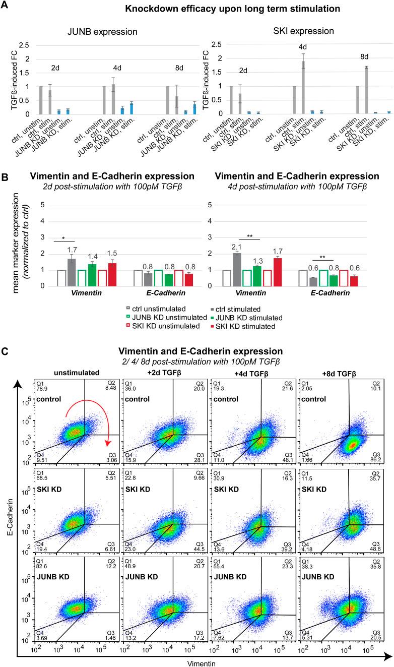 https://cdn.ncbi.nlm.nih.gov/pmc/blobs/216c/11565188/ed1de4ff2291/LSA-2024-02859_FigS7.jpg