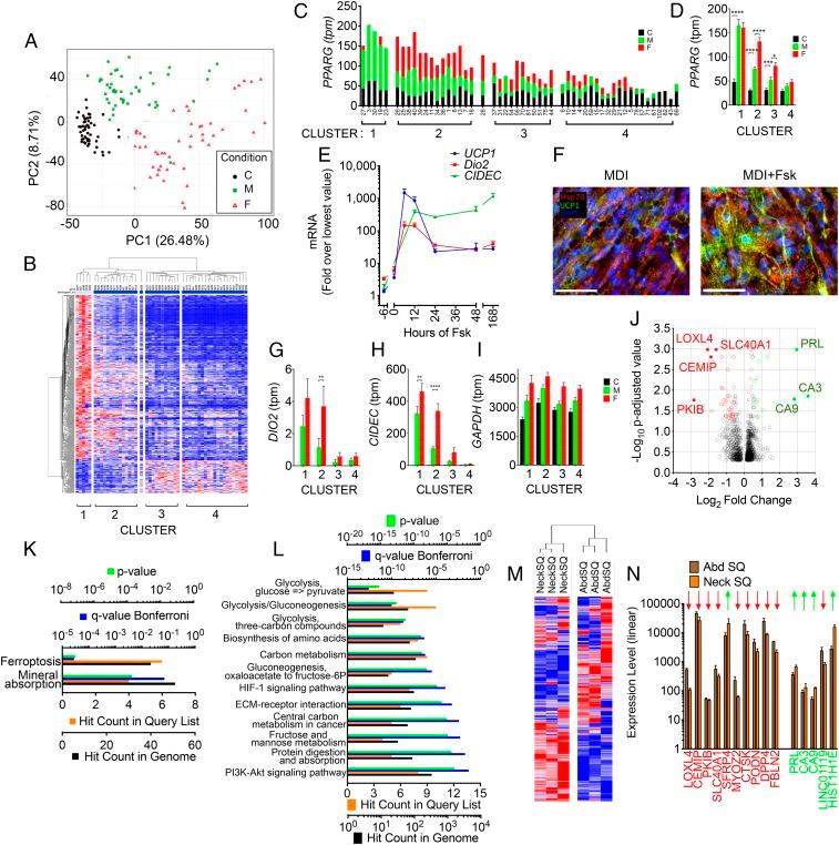 https://cdn.ncbi.nlm.nih.gov/pmc/blobs/216e/6731669/db0d6a7ef549/pnas.1906512116fig02.jpg