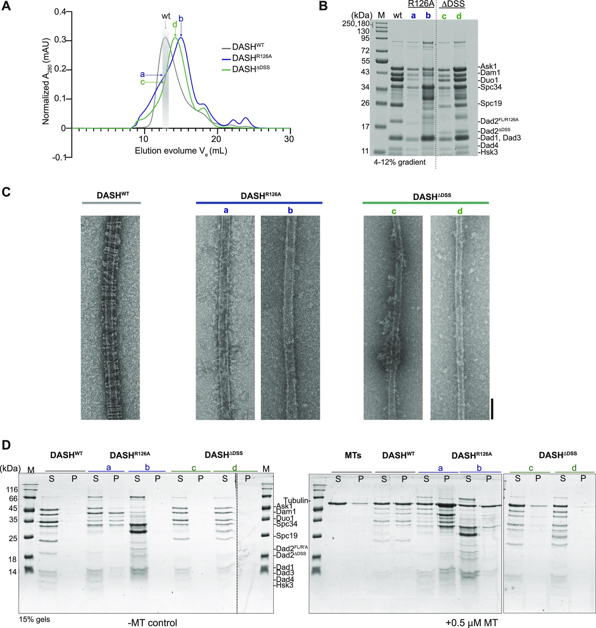 https://cdn.ncbi.nlm.nih.gov/pmc/blobs/217a/10551642/83f27fe56141/LSA-2022-01720_Fig3.jpg