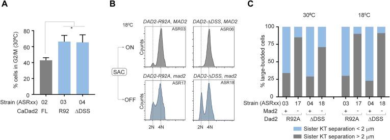 https://cdn.ncbi.nlm.nih.gov/pmc/blobs/217a/10551642/ffae4c222b45/LSA-2022-01720_FigS5.jpg