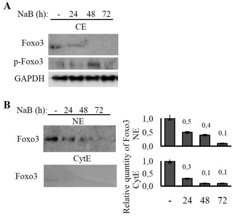 https://cdn.ncbi.nlm.nih.gov/pmc/blobs/217c/6690250/19d5ef984259/genetics-05-01-041-g004.jpg